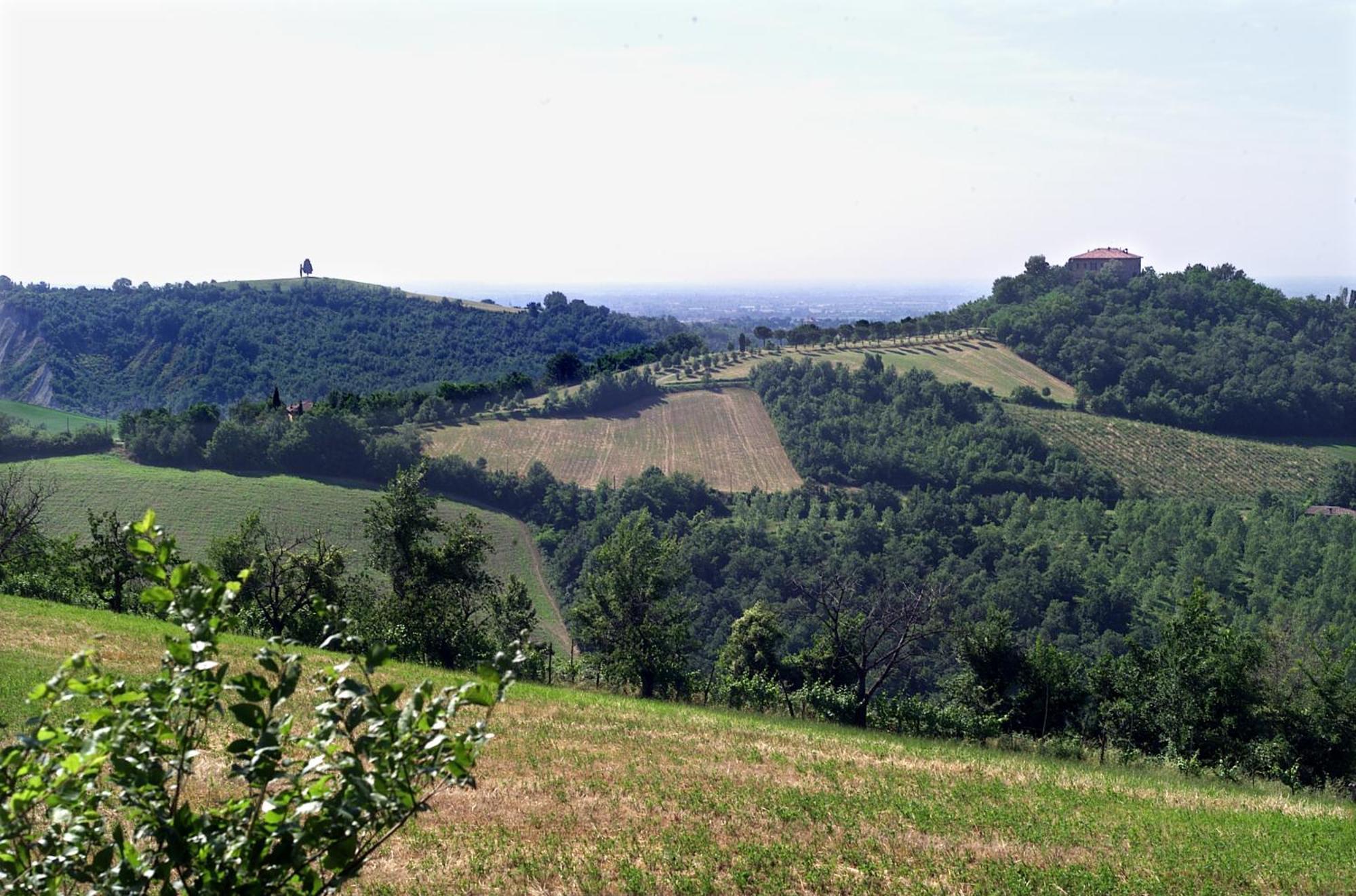 Agriturismo Montevecchio Isolani Monte San Pietro Exterior photo